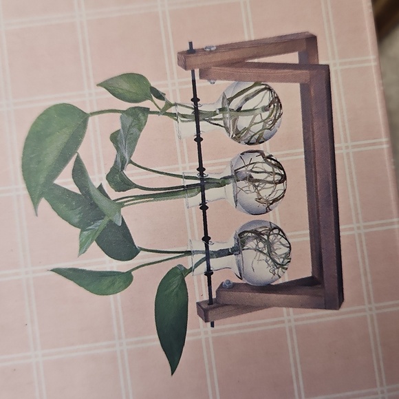 Glass Terrarium Set with Wooden Stand - Picture 1 of 5